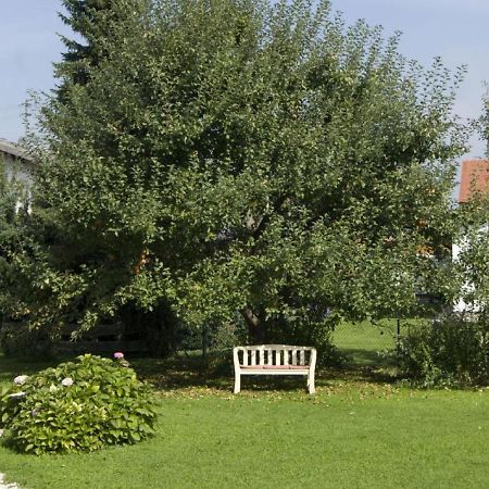 Gaestehaus Gamsei - Bosch Hermann Grassau  Dış mekan fotoğraf